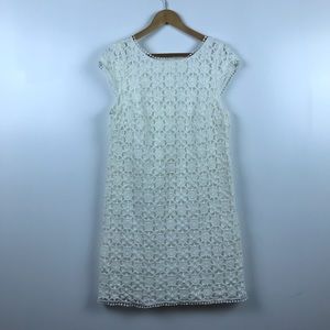 NWT Max Studio Lace Eyelet White Dress Large